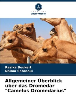Allgemeiner Überblick über das Dromedar "Camelus Dromedarius"