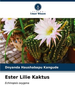 Ester Lilie Kaktus