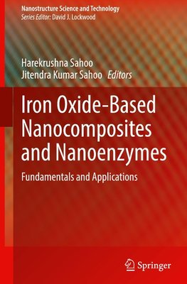Iron Oxide-Based Nanocomposites and Nanoenzymes