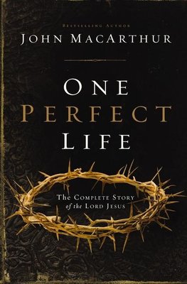 The One Perfect Life