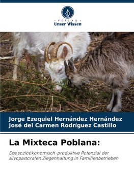 La Mixteca Poblana:
