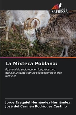 La Mixteca Poblana: