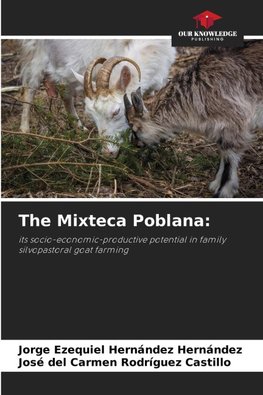 The Mixteca Poblana: