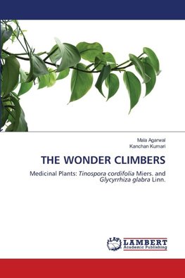 THE WONDER CLIMBERS