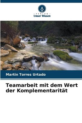 Teamarbeit mit dem Wert der Komplementarität