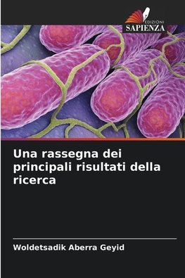 Una rassegna dei principali risultati della ricerca