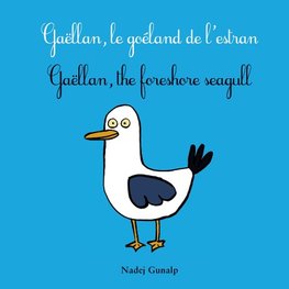 Gaëllan, le goéland de l'estran