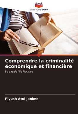 Comprendre la criminalité économique et financière