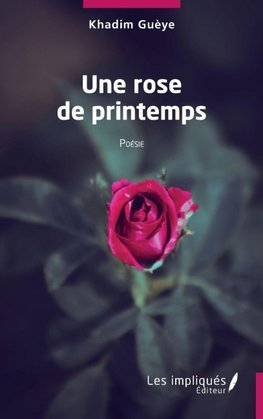 Une rose de printemps