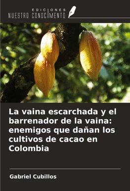 La vaina escarchada y el barrenador de la vaina: enemigos que dañan los cultivos de cacao en Colombia