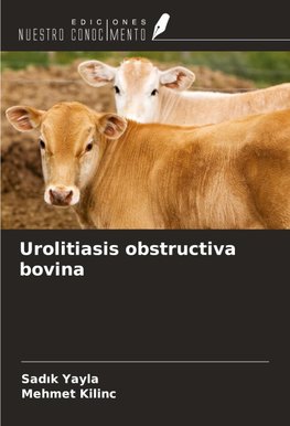 Urolitiasis obstructiva bovina