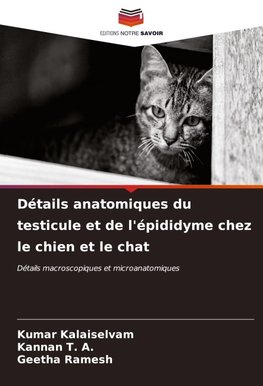 Détails anatomiques du testicule et de l'épididyme chez le chien et le chat
