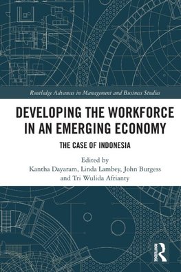 Developing the Workforce in an Emerging Economy