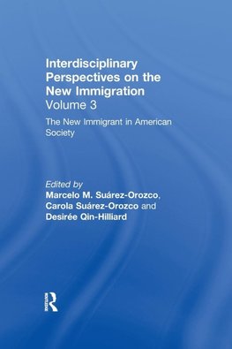 The New Immigrant in American Society