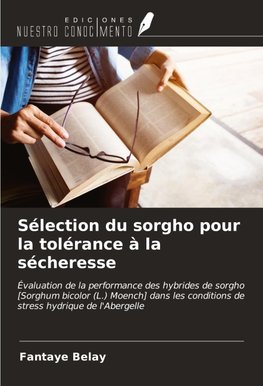 Sélection du sorgho pour la tolérance à la sécheresse