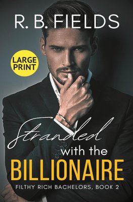 Stranded with the Billionaire