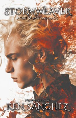 Stormweaver (Willowbrook Book Two)