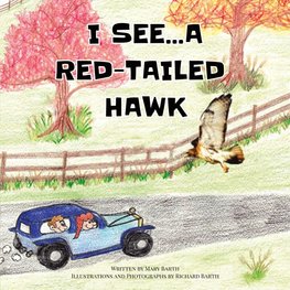 I See... A Red-Tailed Hawk