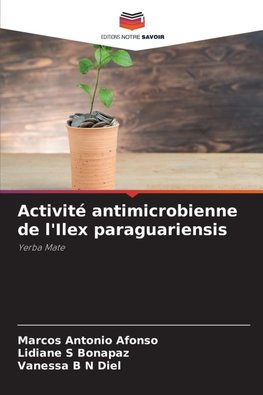 Activité antimicrobienne de l'Ilex paraguariensis