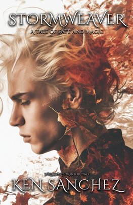 Stormweaver (Willowbrook Book Two)