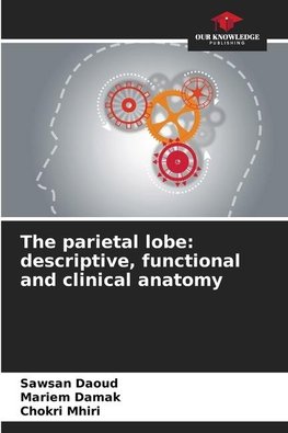 The parietal lobe: descriptive, functional and clinical anatomy