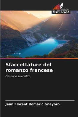 Sfaccettature del romanzo francese