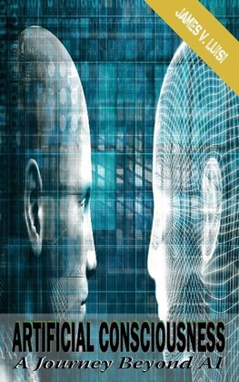 Artificial Consciousness
