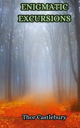 Enigmatic Excursions