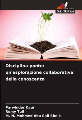 Disciplina ponte: un'esplorazione collaborativa della conoscenza