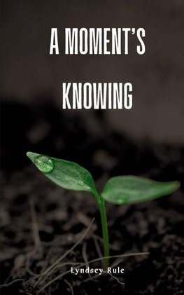 A moment's knowing