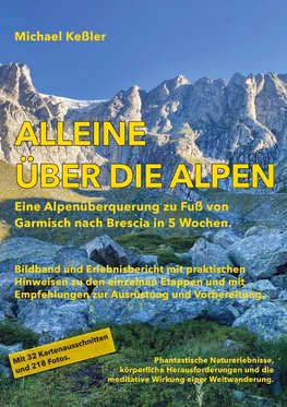 Alleine über die Alpen