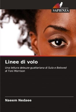 Linee di volo