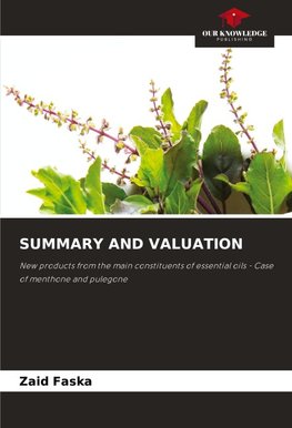 SUMMARY AND VALUATION