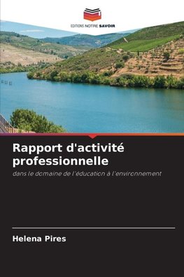 Rapport d'activité professionnelle