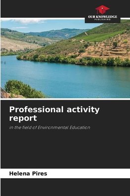 Professional activity report