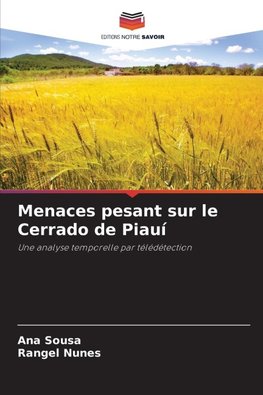 Menaces pesant sur le Cerrado de Piauí