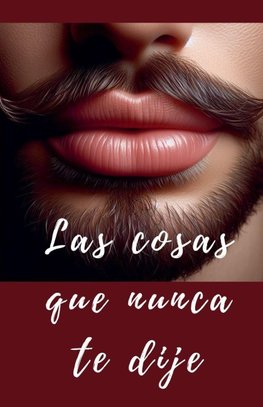 Las cosas que nunca te dije