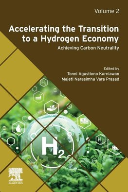Accelerating the Transition to a Hydrogen Economy