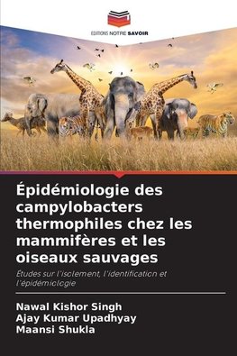 Épidémiologie des campylobacters thermophiles chez les mammifères et les oiseaux sauvages