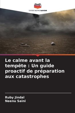 Le calme avant la tempête : Un guide proactif de préparation aux catastrophes