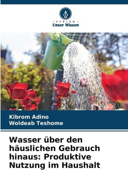 Wasser über den häuslichen Gebrauch hinaus: Produktive Nutzung im Haushalt
