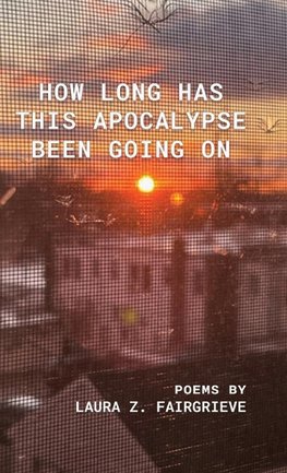 How Long Has This Apocalypse Been Going On