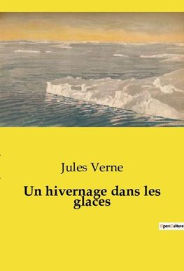 Un hivernage dans les glaces