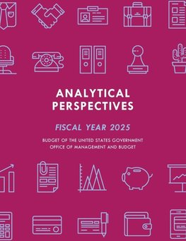 Analytical Perspectives