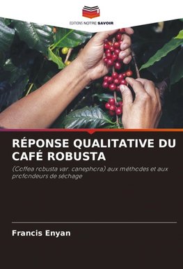 RÉPONSE QUALITATIVE DU CAFÉ ROBUSTA