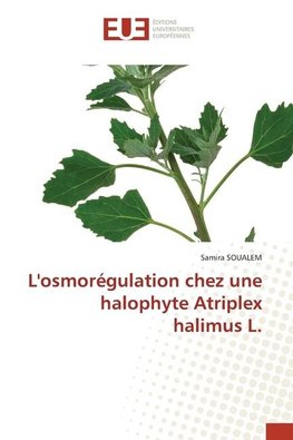 L'osmorégulation chez une halophyte Atriplex halimus L.