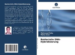 Bakterielle DNA-Hybridisierung