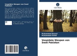 Vespidale Wespen von Swat Pakistan