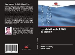 Hybridation de l'ADN bactérien