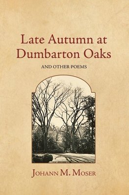 Late Autumn at Dumbarton Oaks